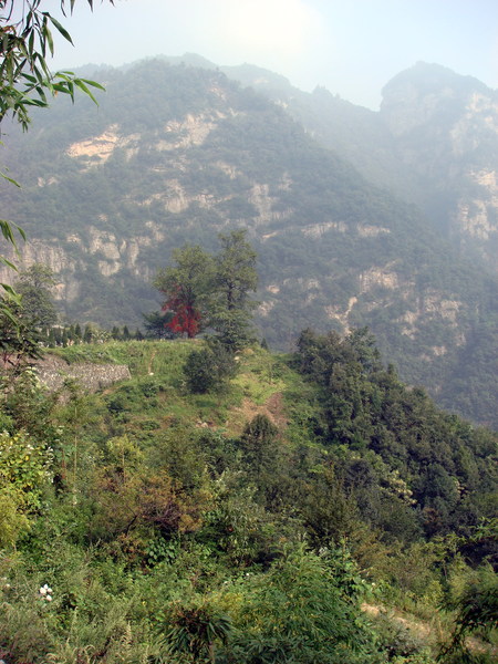 Image: /media/?path=/trips/2007-08-13 China/2007-08-20_Wudang/20070820-090536-1-Rob.jpg